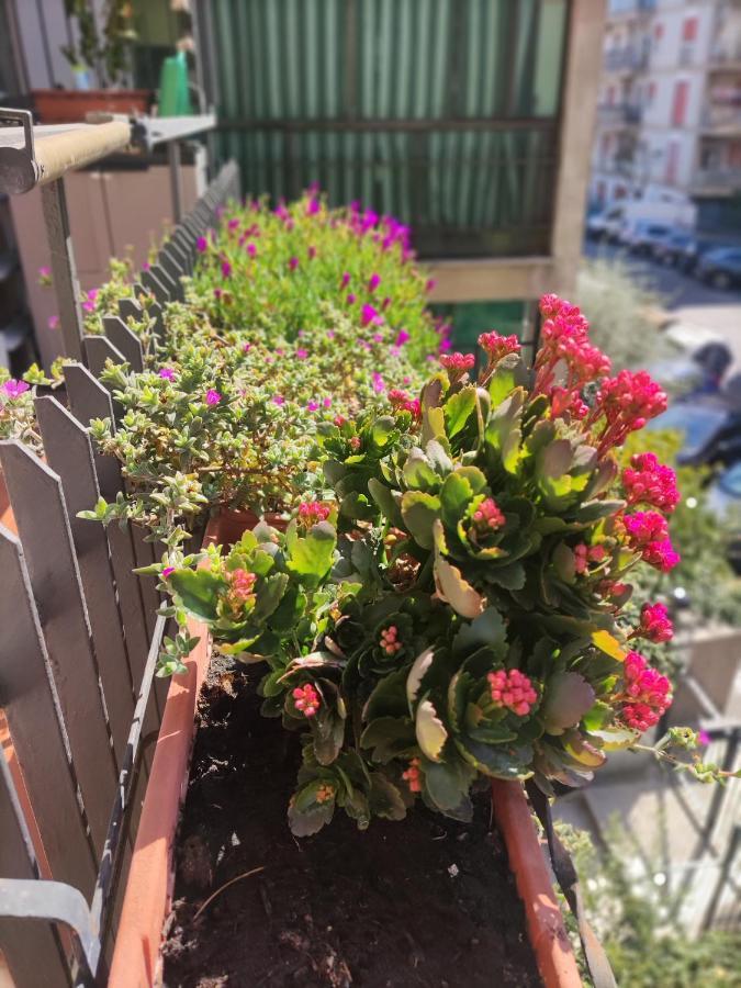 로마 La Casa Dei Nonni 아파트 외부 사진
